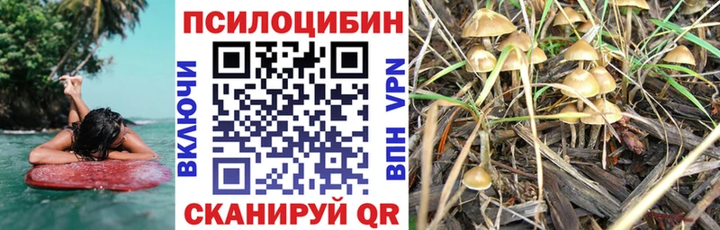 Галлюциногенные грибы ЛСД  hydra ссылка  Муром  где найти наркотики 